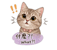 854376066