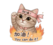 854376078