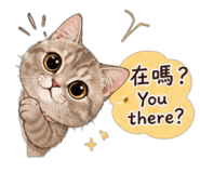 854376079