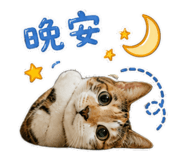 854378414