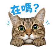 854378425