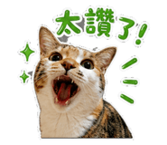 854378432