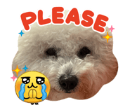 854379010
