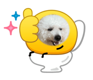 854379012