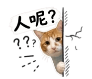 854380740
