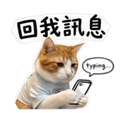 854380741