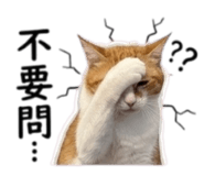 854380752