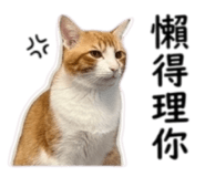 854380754
