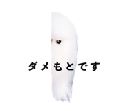 854383911