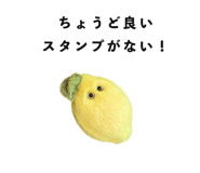 854383929