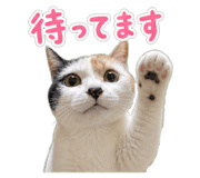 854385932