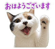 854385935