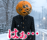 854386127