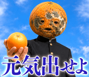 854386152