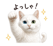 854386417