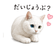 854386430
