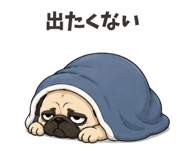 854387523