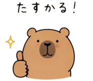 854387571