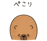 854387572