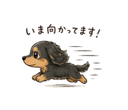 854387698