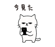 854388079