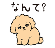 854388085
