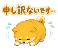 854389795
