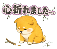 854389804