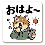 854389817