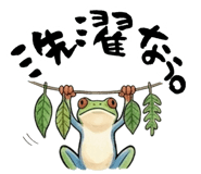 854392074