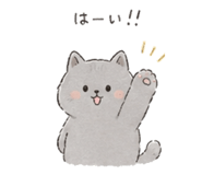 854392293