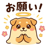 854393061
