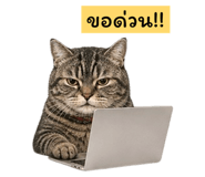 854393714