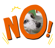 854396931