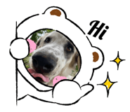 854396934