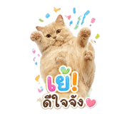 854400170