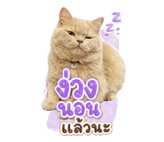 854400171