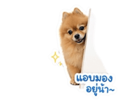 854400827