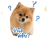 854400832