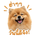 854400839