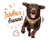 854400949