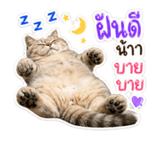 854403109