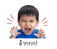 854404503