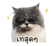 854405842