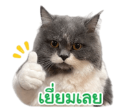 854405860