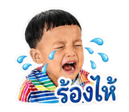 854408754