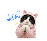 854411713