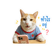 854411723