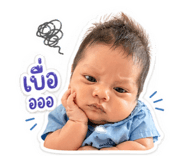 854412944