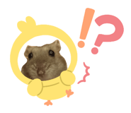 854414369
